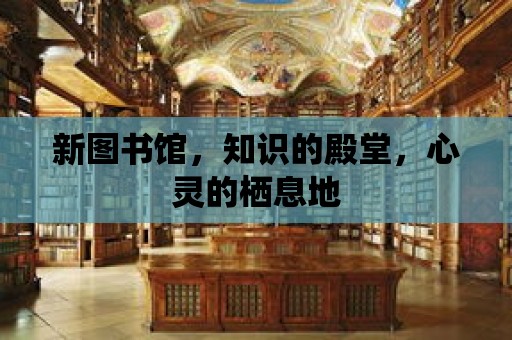 新圖書館，知識的殿堂，心靈的棲息地