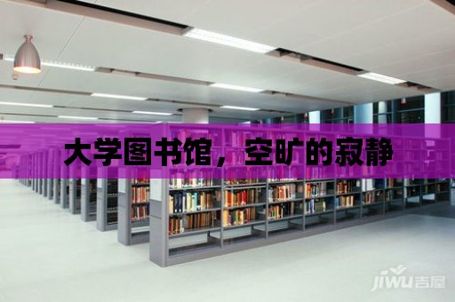 大學圖書館，空曠的寂靜