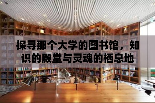 探尋那個大學的圖書館，知識的殿堂與靈魂的棲息地