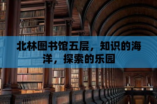 北林圖書館五層，知識(shí)的海洋，探索的樂園