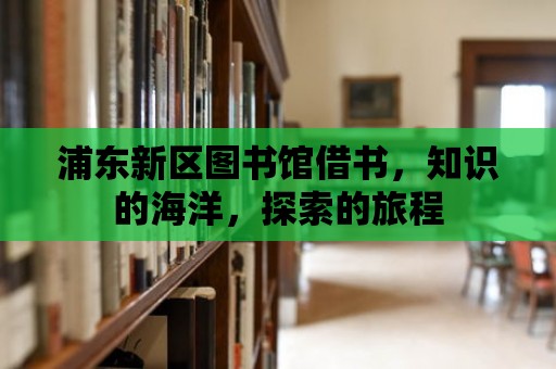 浦東新區(qū)圖書館借書，知識的海洋，探索的旅程