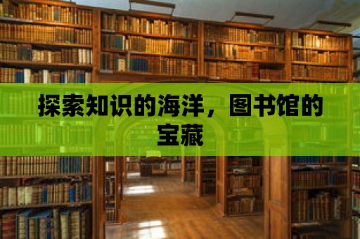 探索知識的海洋，圖書館的寶藏