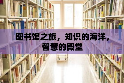 圖書(shū)館之旅，知識(shí)的海洋，智慧的殿堂