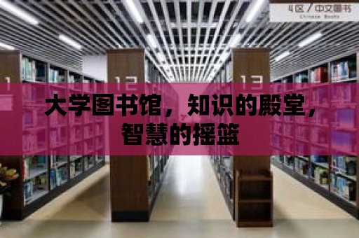 大學圖書館，知識的殿堂，智慧的搖籃