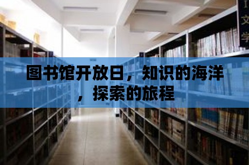 圖書館開放日，知識(shí)的海洋，探索的旅程