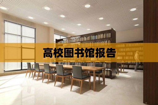 高校圖書館報告