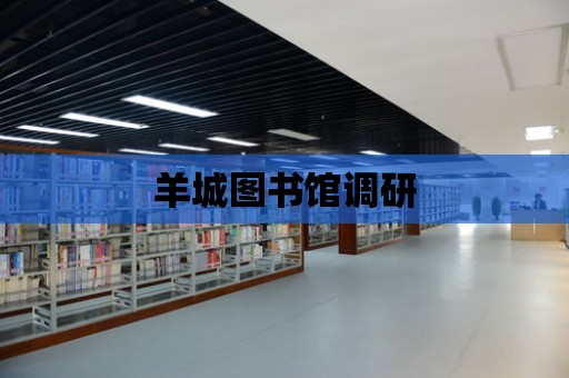 羊城圖書館調研