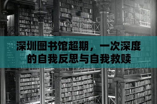 深圳圖書館超期，一次深度的自我反思與自我救贖