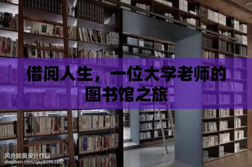 借閱人生，一位大學(xué)老師的圖書(shū)館之旅