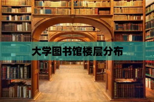 大學圖書館樓層分布