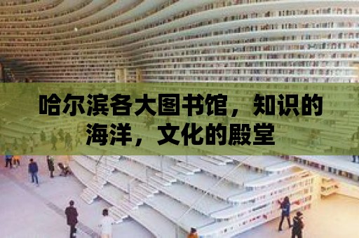 哈爾濱各大圖書館，知識的海洋，文化的殿堂