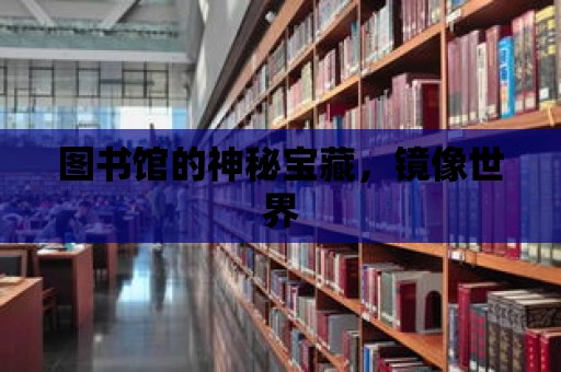 圖書館的神秘寶藏，鏡像世界