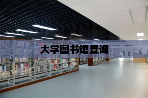 大學(xué)圖書館查詢