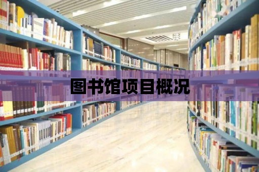 圖書館項目概況