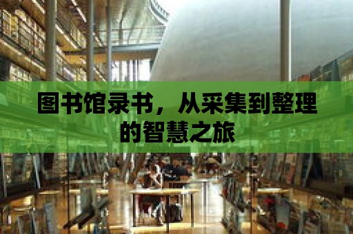 圖書館錄書，從采集到整理的智慧之旅