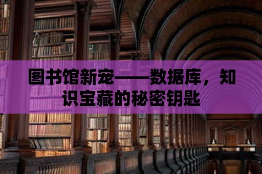 圖書館新寵——數(shù)據(jù)庫，知識寶藏的秘密鑰匙