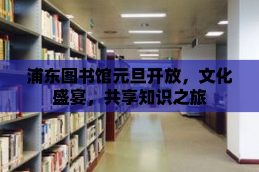 浦東圖書館元旦開放，文化盛宴，共享知識之旅