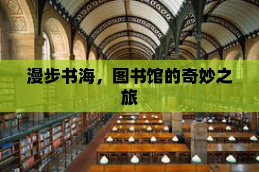 漫步書海，圖書館的奇妙之旅