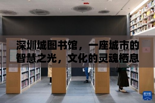 深圳城圖書館，一座城市的智慧之光，文化的靈魂棲息地