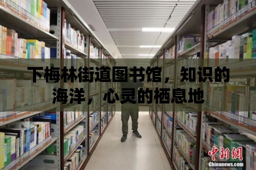 下梅林街道圖書館，知識的海洋，心靈的棲息地