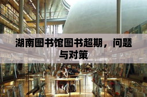 湖南圖書館圖書超期，問題與對策