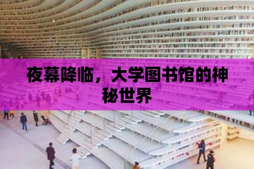 夜幕降臨，大學圖書館的神秘世界