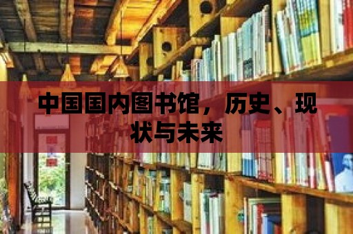 中國國內圖書館，歷史、現狀與未來