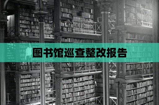 圖書館巡查整改報告