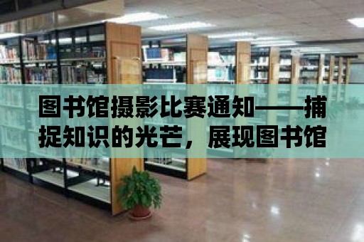 圖書館攝影比賽通知——捕捉知識的光芒，展現圖書館的魅力