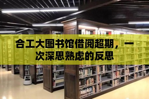 合工大圖書館借閱超期，一次深思熟慮的反思