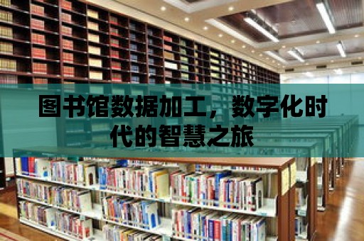 圖書館數據加工，數字化時代的智慧之旅