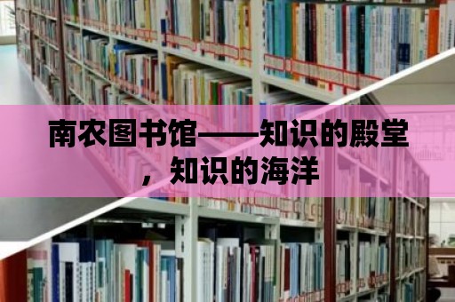 南農圖書館——知識的殿堂，知識的海洋