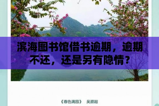 濱海圖書館借書逾期，逾期不還，還是另有隱情？