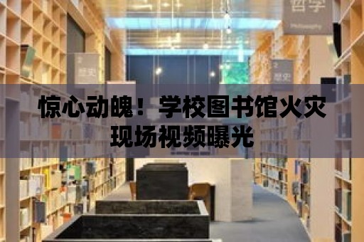 驚心動魄！學校圖書館火災現場視頻曝光