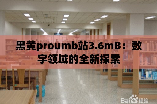 黑黃proumb站3.6mB：數(shù)字領域的全新探索