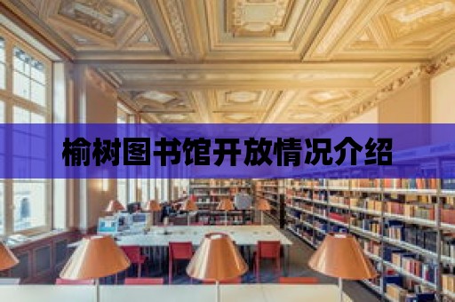 榆樹圖書館開放情況介紹