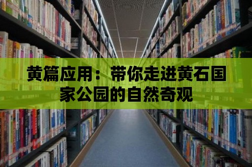 黃篇應(yīng)用：帶你走進黃石國家公園的自然奇觀