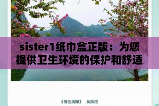 sister1紙巾盒正版：為您提供衛生環境的保護和舒適感受