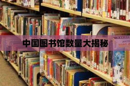 中國圖書館數量大揭秘