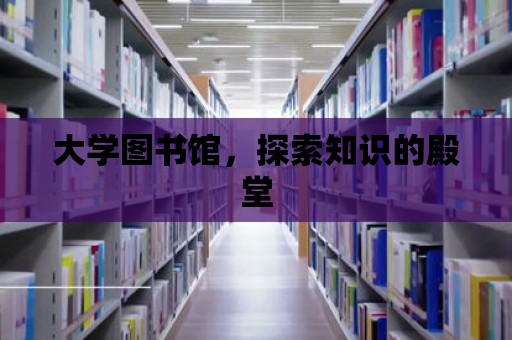 大學(xué)圖書館，探索知識的殿堂