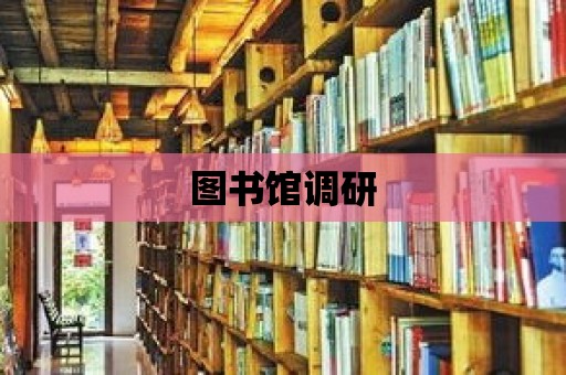 圖書館調研