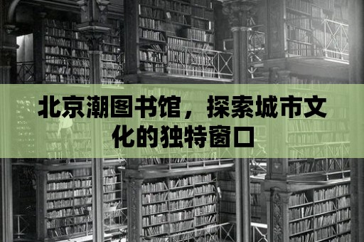 北京潮圖書館，探索城市文化的獨特窗口