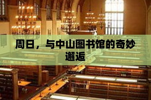 周日，與中山圖書館的奇妙邂逅