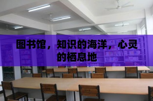 圖書館，知識的海洋，心靈的棲息地