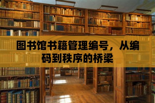 圖書館書籍管理編號，從編碼到秩序的橋梁