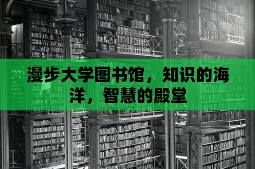 漫步大學圖書館，知識的海洋，智慧的殿堂