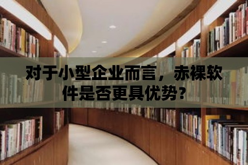 對于小型企業(yè)而言，赤裸軟件是否更具優(yōu)勢？