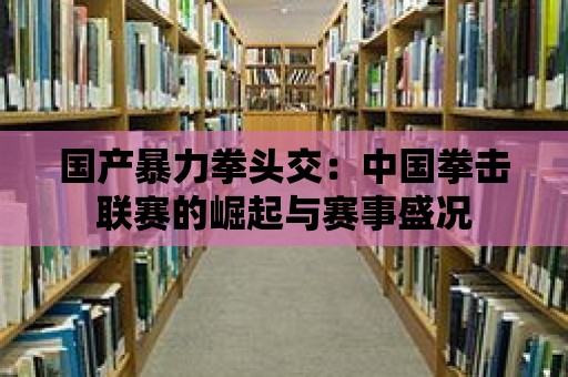 國產暴力拳頭交：中國拳擊聯賽的崛起與賽事盛況