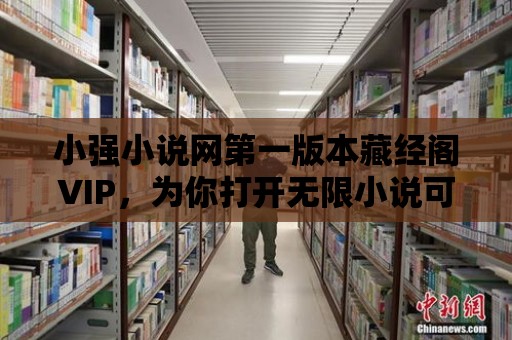 小強小說網第一版本藏經閣VIP，為你打開無限小說可能性