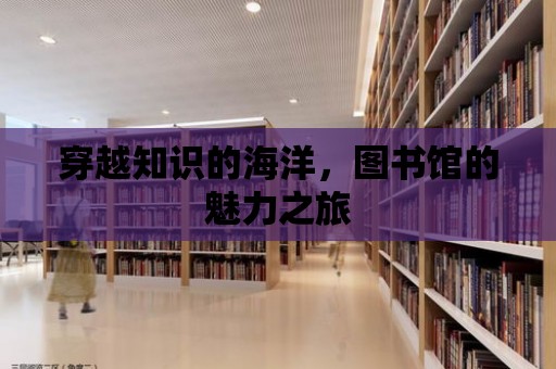 穿越知識的海洋，圖書館的魅力之旅